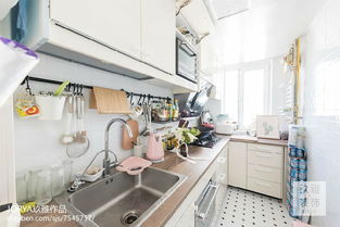 酒店廚房用品大全清單及其在自然科學研究中的應用介紹