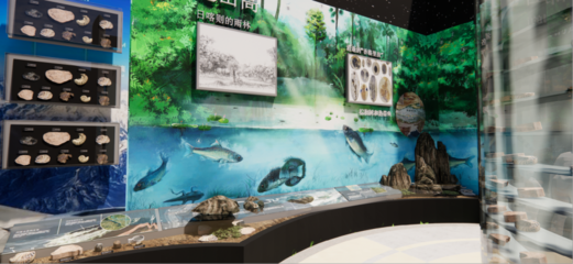 青藏高原綜合科學考察與研究古生物展廳 在拉薩之巔，探尋生命演化的史詩