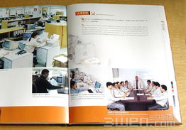 三文品牌設(shè)計(jì) 構(gòu)建企業(yè)形象與VI系統(tǒng)的全方位指南